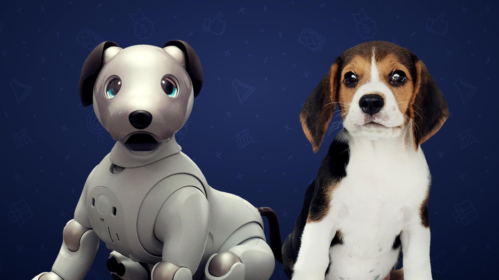 Chatbots for SMBs — AI or Rule-based? Chatbots for SMBs — AI or Rule-based?